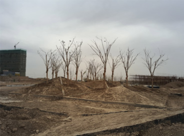 抖圈(中国区)人生就是搏!