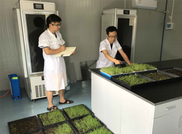 抖圈(中国区)人生就是搏!