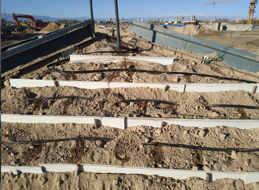 抖圈(中国区)人生就是搏!