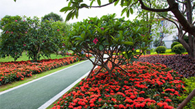 抖圈(中国区)人生就是搏!