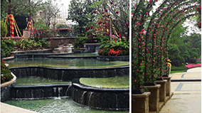 抖圈(中国区)人生就是搏!