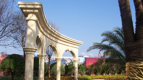 抖圈(中国区)人生就是搏!