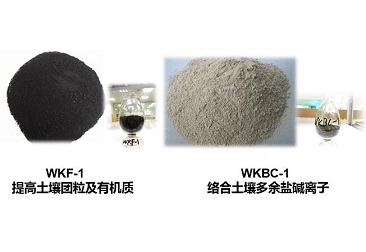 抖圈(中国区)人生就是搏!