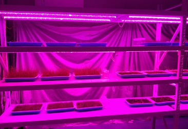 抖圈(中国区)人生就是搏!