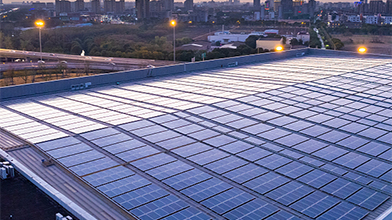 抖圈(中国区)人生就是搏!